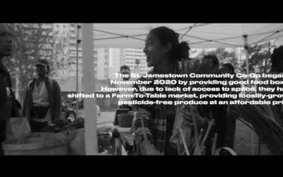 HXOUSE x The Right To Food: St. James Town Community Coop