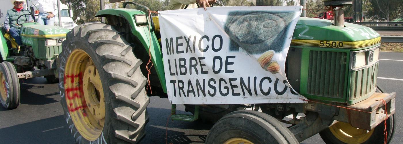 Mexico bans glyphosate and GM corn